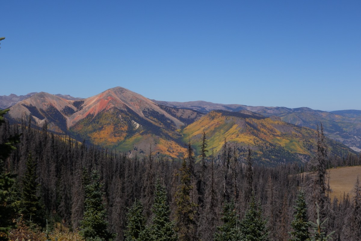 “You Need to go that&nbsp;Way”