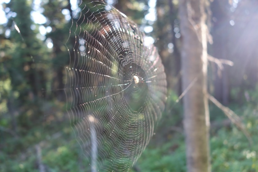 TKnTB77ACI810vF_q5DZ-S3x2UTgCZqr6LmwN4SUsR3g34dnTPbiwGe6J8DX6ZSY-BxULbQipKhDEZWylPVRnbIv41LX3kjy7OBVEZA1gOWhRzYFVII-jEe3ESK4-iZ691UPG-tNUtnfIs3Q7Xk5LTlCyjpabvGc3k-ZEo9u24-CIj1Ca0i9sY1tuO